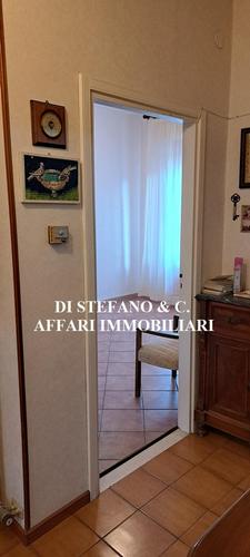  id.5105388