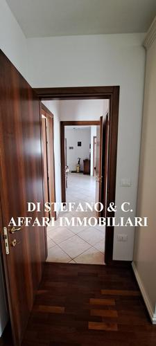  id.5105597