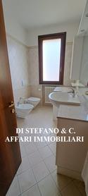  id.5105574