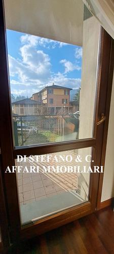  id.5105639