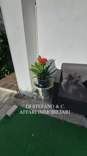  id.5195782