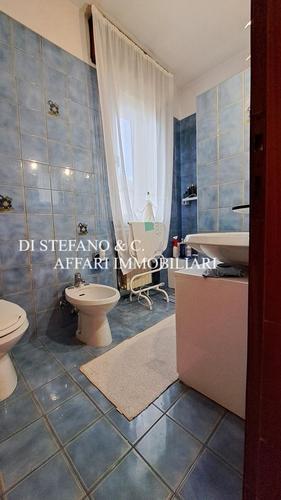  id.5195788